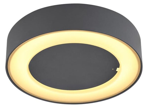 Globo 32136D - LED Vonkajšie stropné svietidlo SURA LED/12W/230V IP54