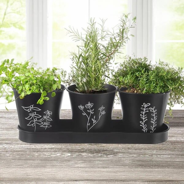 Black kvetináč na bylinky Ø 11 cm + podnos, kov ORION 310628