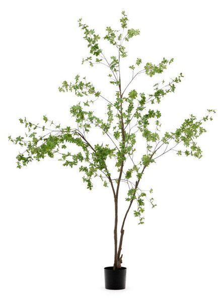 Umelá rastlina (výška 214 cm) Enkianthus – Kave Home
