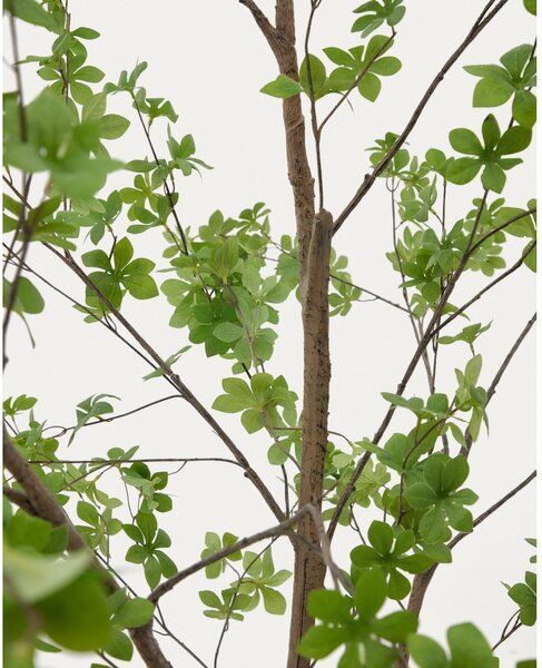 Umelá rastlina (výška 214 cm) Enkianthus – Kave Home