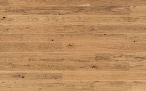 Tarkett Pure DUB RUSTIC PLANK 7876957