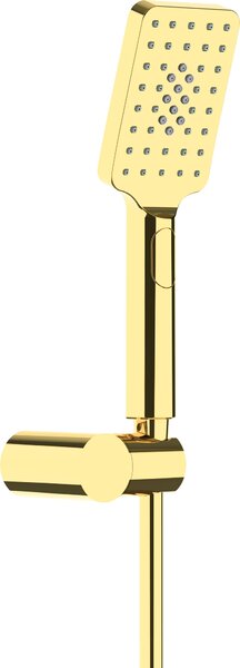 Deante Alpinia sprchová súprava nástenná zlatá NGA_Z41K