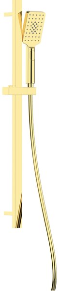 Deante Alpinia sprchová súprava nástenná zlatá NGA_Z52K