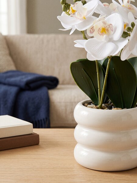 Sinsay - Dekoratívna rastlina v kvetináči – orchidea - biela