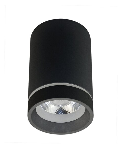 Stropné svietidlo AZZARDO Bill 10W black LED AZ3376