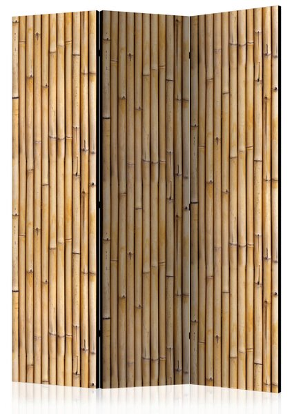 PARAVÁN, 135/172/3 cm artgeist - Paravány, Online Only