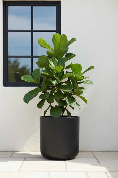Kvetináč CHICO, sklolaminát, priemer 45 cm, antracit