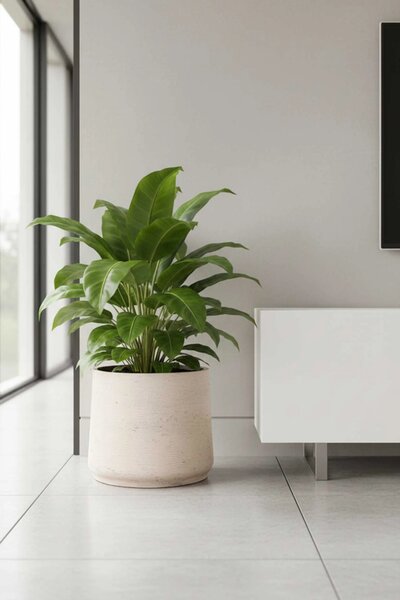 Kvetináč TROPICO, sklolaminát, výška 38 cm, béžová