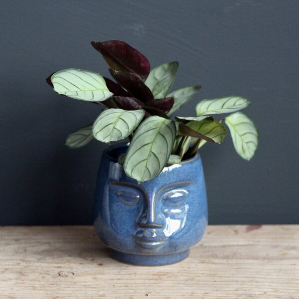 Kvetináč head blue Ø 6 cm