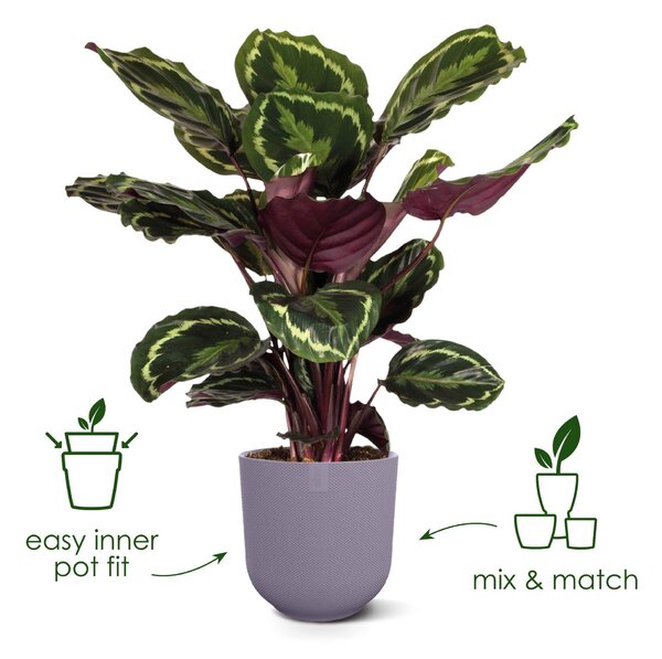 Elho plastový kvetináč Jazz lavender lilac Ø 14 cm