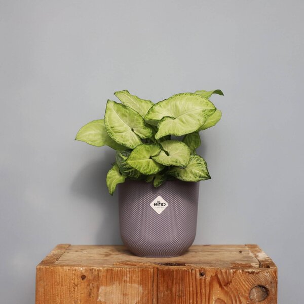 Elho plastový kvetináč Jazz lavender lilac Ø 14 cm