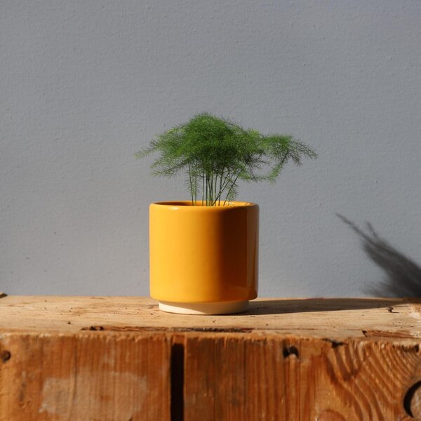 Kvetináč Eno Duo ocher Ø 7 cm