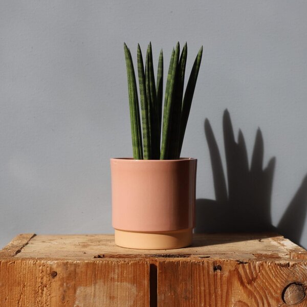 Kvetináč Eno Duo dusty pink Ø 10 cm
