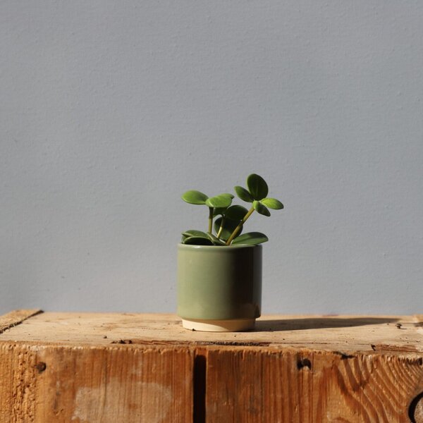 Kvetináč Eno Duo dusty green Ø 7 cm