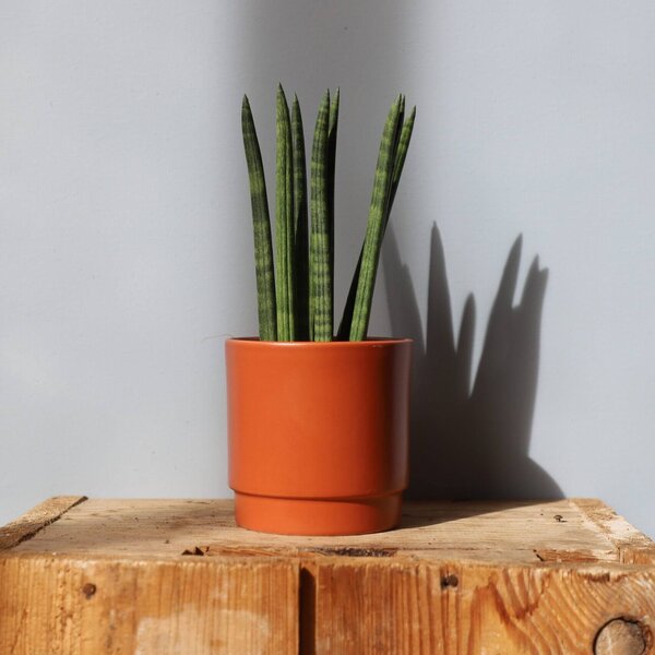 Kvetináč Eno Matt terracotta Ø 10 cm