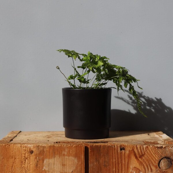 Kvetináč Eno Matt black Ø 10 cm