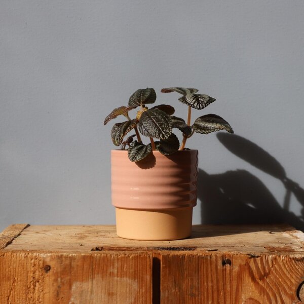 Kvetináč Cellos dusty pink Ø 9 cm