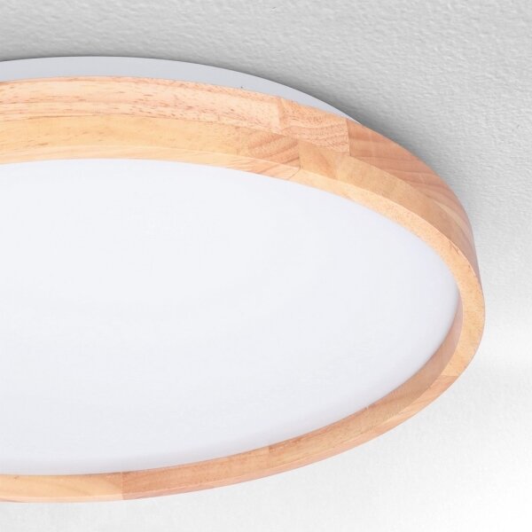Brilagi - LED stlmiteľné stropné svietidlo ALSON LED/48W/230V 3000-6500K + DO
