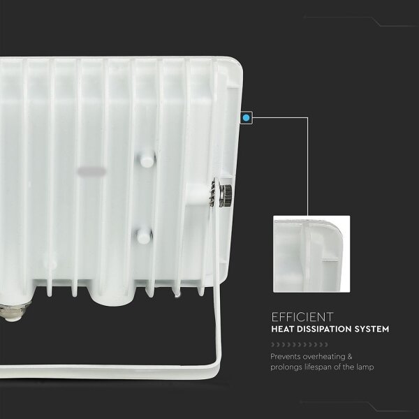 LED Reflektor LED/50W/230V 6500K IP65 biela