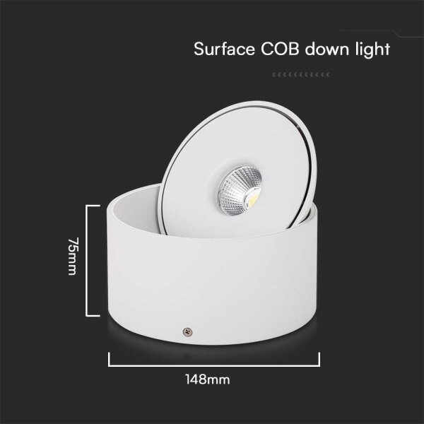LED Bodové svietidlo LED/20W/230V 3000/4000/6400K biela