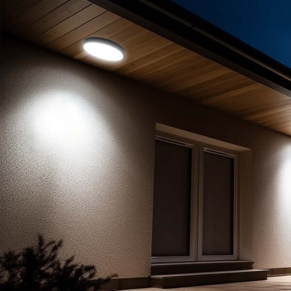LED Kúpeľňové stropné svietidlo LED/18W/230V 6500K IP44 pr. 25 cm čierna