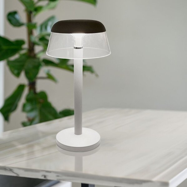 LED Stm. nabíjacia dotyková stolná lampa LED/3W/5V 3000-6000K biela