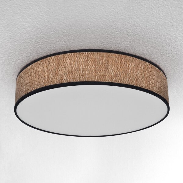 Brilagi - LED Stmievateľné stropné svietidlo ADELA LED/48W/230V 3000-6500K + DO