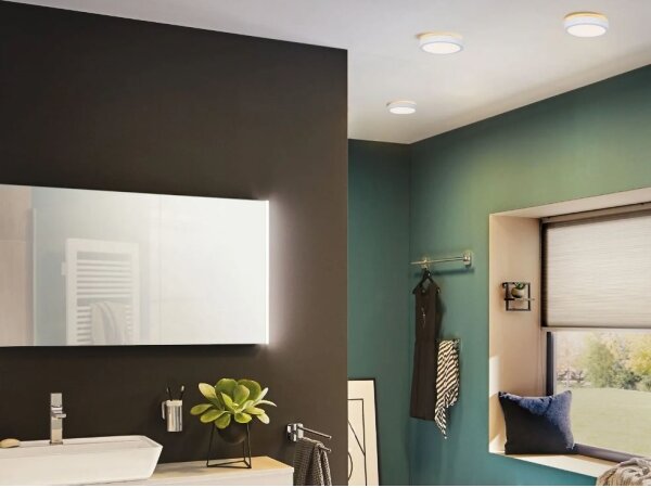 Paulmann 78923 - LED/13W IP44 Stmievateľné kúpeľňové stropné svietidlo AVIAR 230V