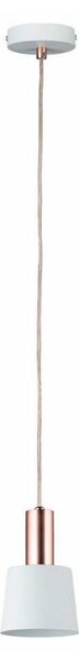 Paulmann 79656 - 1xE14/20W Luster na lanku NEORDIC HALDAR 230V