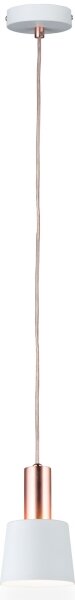 Paulmann 79656 - 1xE14/20W Luster na lanku NEORDIC HALDAR 230V