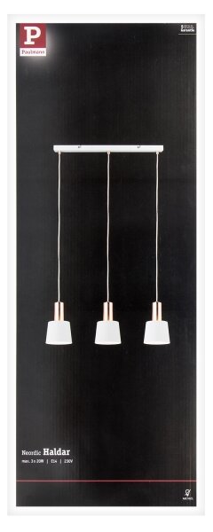 Paulmann 79657 - 3xE14/20W Luster na lanku NEORDIC HALDAR 230V