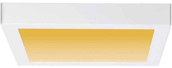 Paulmann 79801 - LED/13W Stropné svietidlo CARPO 230V 2300/2500/3000K