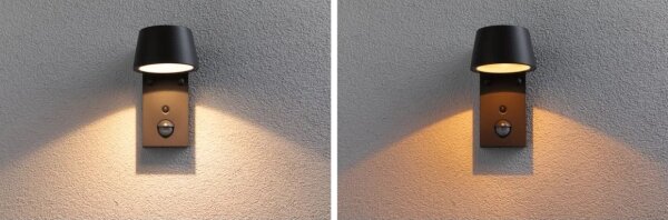 Paulmann 94714 - LED/6W IP44 Vonkajšie nástenné svietidlo so senzorom CAPERA 230V