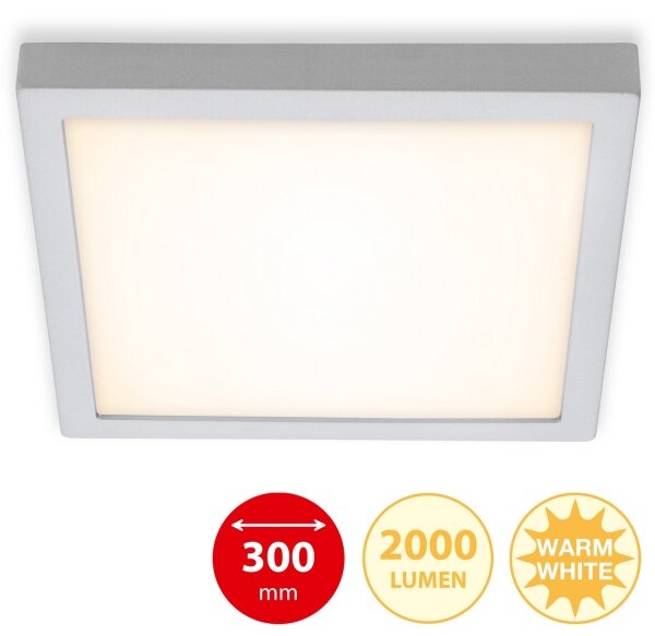Briloner 7142-014 - LED Stropné svietidlo FIRE LED/21W/230V 3000K