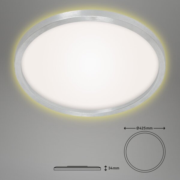 Briloner 7363-019 - LED Stropné svietidlo CADRE LED/22W/230V pr. 42,5 cm