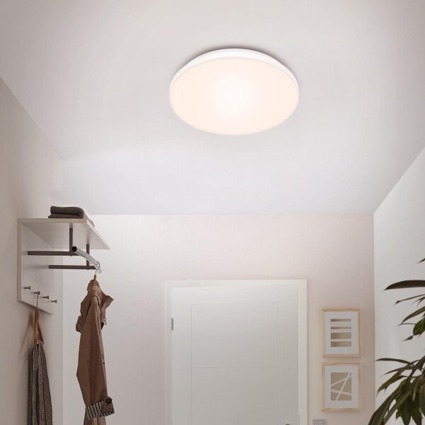 Briloner 7377-016 - LED Stmievateľné stropné svietidlo LED/12W/230V 3000-6500K