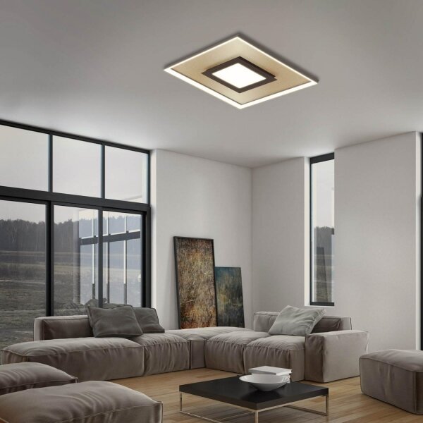 Briloner 3641-017 - LED Stmievateľné svietidlo FRAME LED/30W/230V 2700-6500K + DO