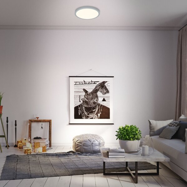 Briloner 3704-014-LED Stmievateľné stropné svietidlo RUNA LED/22W/230V strieborná+DO