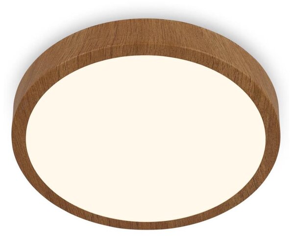 Brilo - LED Stropné svietidlo RUNA LED/24W/230V