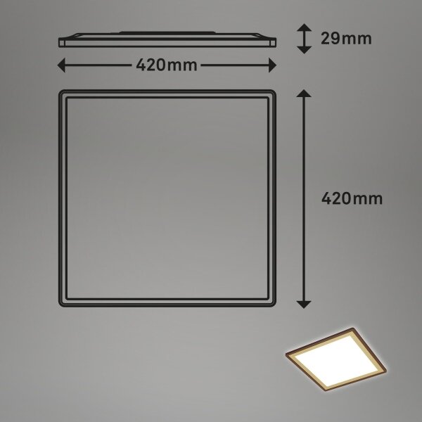 Briloner 7459-417 - LED Stmievateľné stropné svietidlo DECO LED/24W/230V + DO