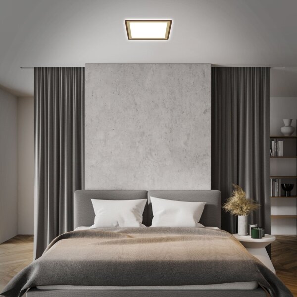 Briloner 7459-417 - LED Stmievateľné stropné svietidlo DECO LED/24W/230V + DO