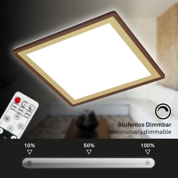 Briloner 7459-417 - LED Stmievateľné stropné svietidlo DECO LED/24W/230V + DO