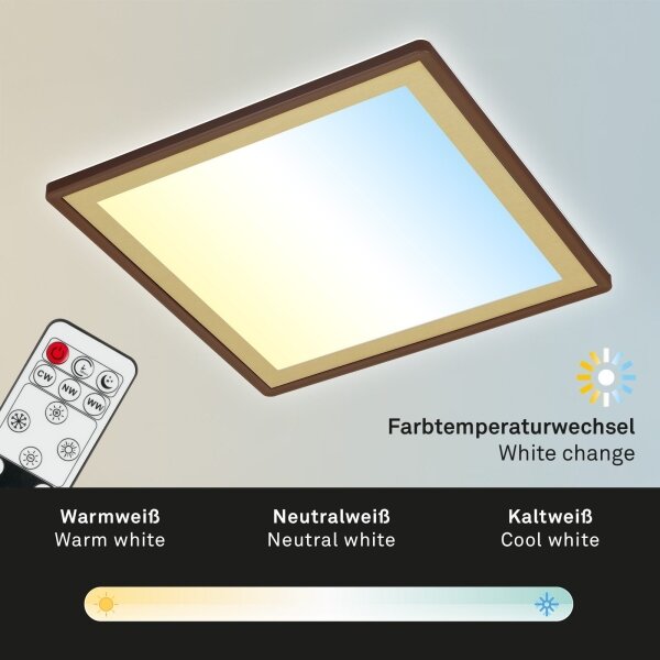Briloner 7459-417 - LED Stmievateľné stropné svietidlo DECO LED/24W/230V + DO