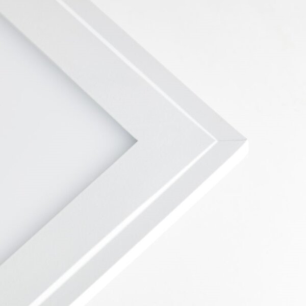 Brilliant - LED RGBW Stmievateľné stropné svietidlo ABIE LED/24W/230V + DO