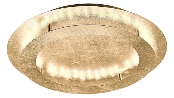 Paul Neuhaus 9621-12 - LED Stropné svietidlo NEVIS LED/24W/230V