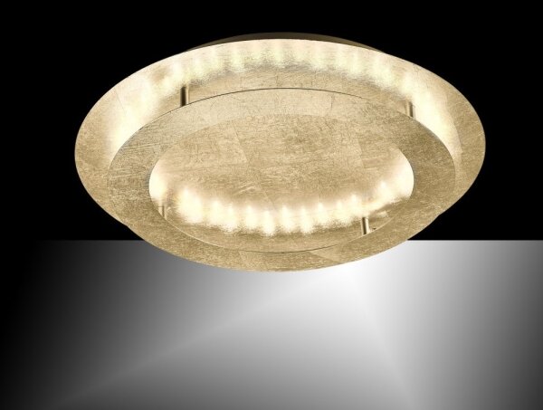 Paul Neuhaus 9621-12 - LED Stropné svietidlo NEVIS LED/24W/230V