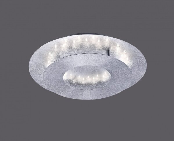 Paul Neuhaus 9011-21 - LED Stropné svietidlo NEVIS LED/6W/230V strieborná