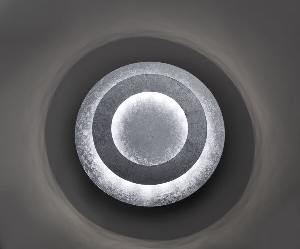 Paul Neuhaus 9011-21 - LED Stropné svietidlo NEVIS LED/6W/230V strieborná