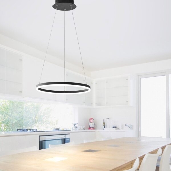 Paul Neuhaus 2381-13 - LED Stmievateľný luster na lanku TITUS LED/28W/230V