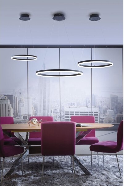 Paul Neuhaus 2381-13 - LED Stmievateľný luster na lanku TITUS LED/28W/230V